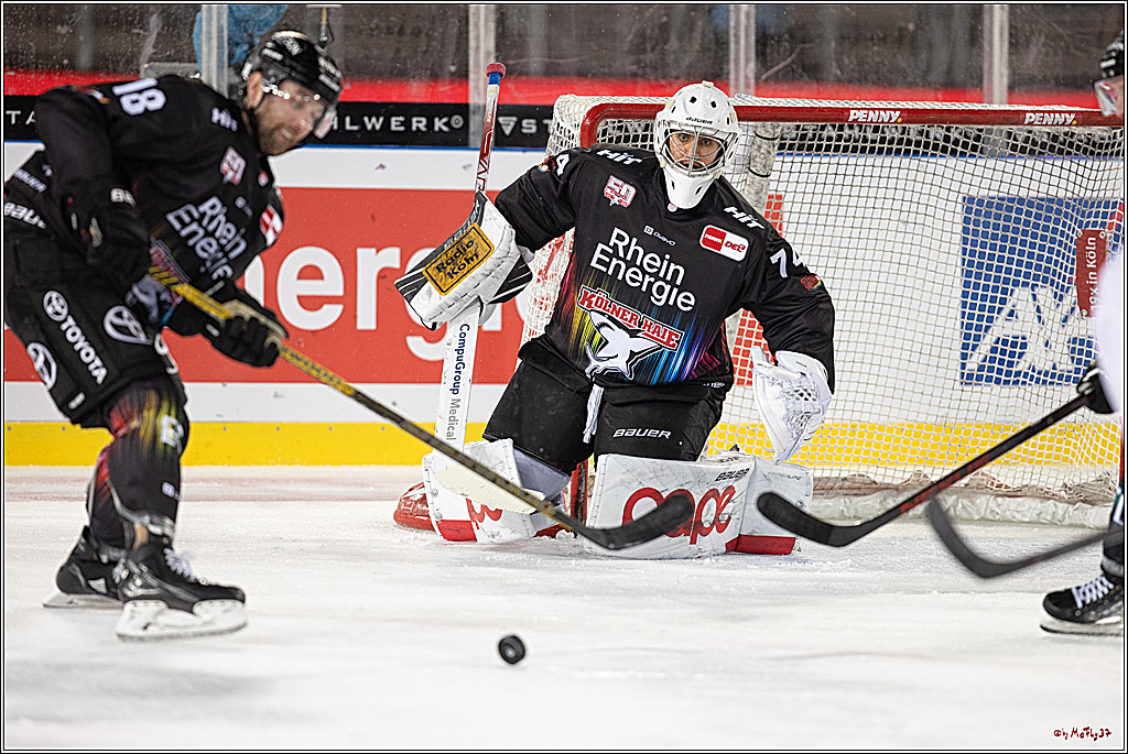 PENNY DEL;  Kölner Haie - Fischtown Pinguins; Köln, 22.12.2022